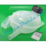 Vas Expansiune LOGAN 2, SANDERO 2, Original Renault 217104354R