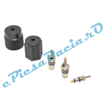 Ventile Incarcare Freon Aer Conditionat Si Capace Conducte, Originale Renault 7701205920 Ventile Incarcare Freon Aer Conditionat Si Capace Conducte, Originale Renault 7701205920