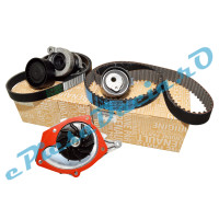 Kit Distributie, Pompa Apa, Kit Accesorii, 1.5dCi EURO 4, EURO 3, LOGAN 1, SANDERO 1, MEGANE Originale Renault 7701477028 | 7701478031 | 117203694R