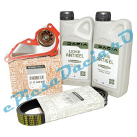 Pachet Revizie Pompa Apa 1.0TCe-1.3TCe, LOGAN 3, SANDERO 3, LOGAN 2, DUSTER 2, Complet, Renault 210104880R + 7711949706 + 117209538R