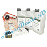 Pachet Revizie Pompă Apă 1.0 TCe / ECO-G 100 Logan 3, Sandero 3, Duster 2, Logan 2, Sandero 2, Original Renault