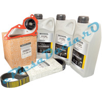 Pachet Revizie Pompa Apa 1.0TCe, LOGAN 3, SANDERO 3, LOGAN 2, DUSTER 2, Renault 210100638R + 117209538R + 7711947052
